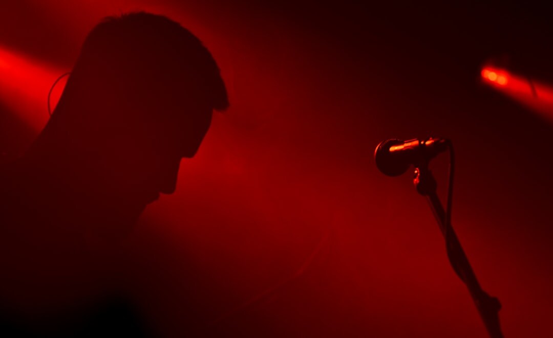 famous singer performing live
